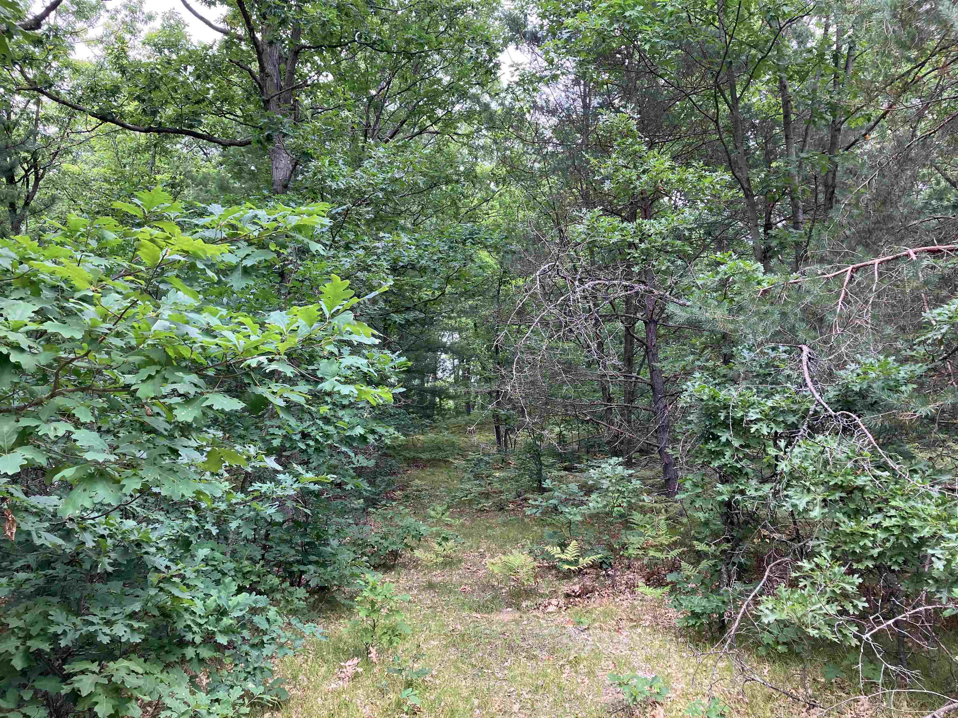 5921 East Haskell Lake Road Harrison, MI 48625 - Photo 8 of 49 Gallery Image 8