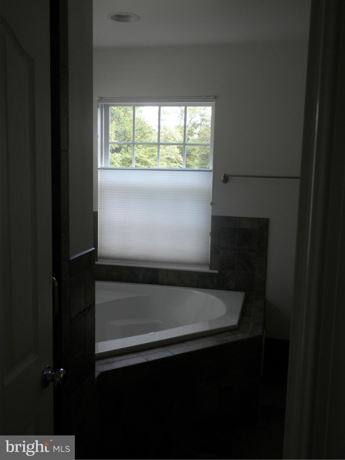 898 Crystal Road Edgewater, MD 21037 - Photo 14 of 29 Bath (Master)