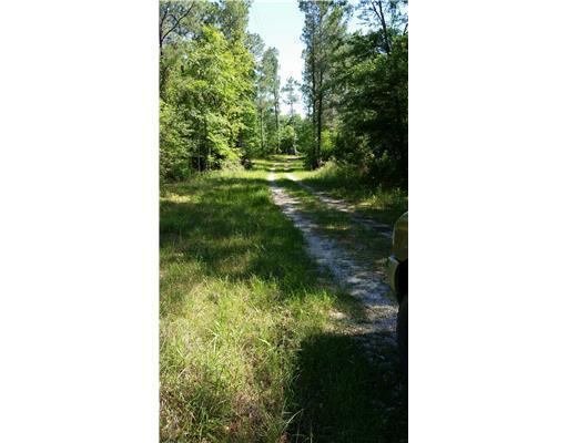 Lott McCarty Road Picayune, MS 39466 - Photo 4 of 24 Additional Photo
