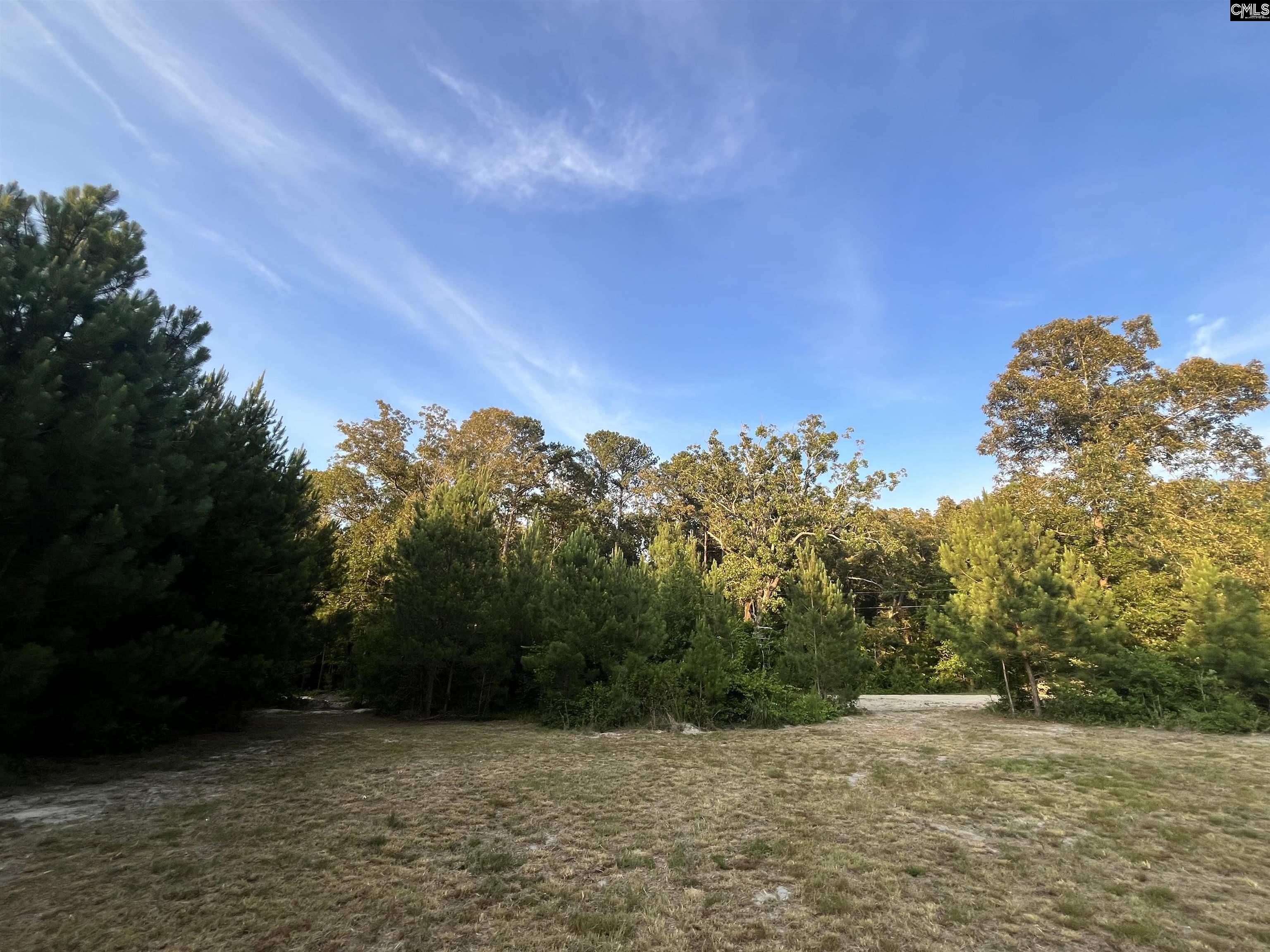 590 Springwood Lane Lexington, SC 29073 - Photo 14 of 31