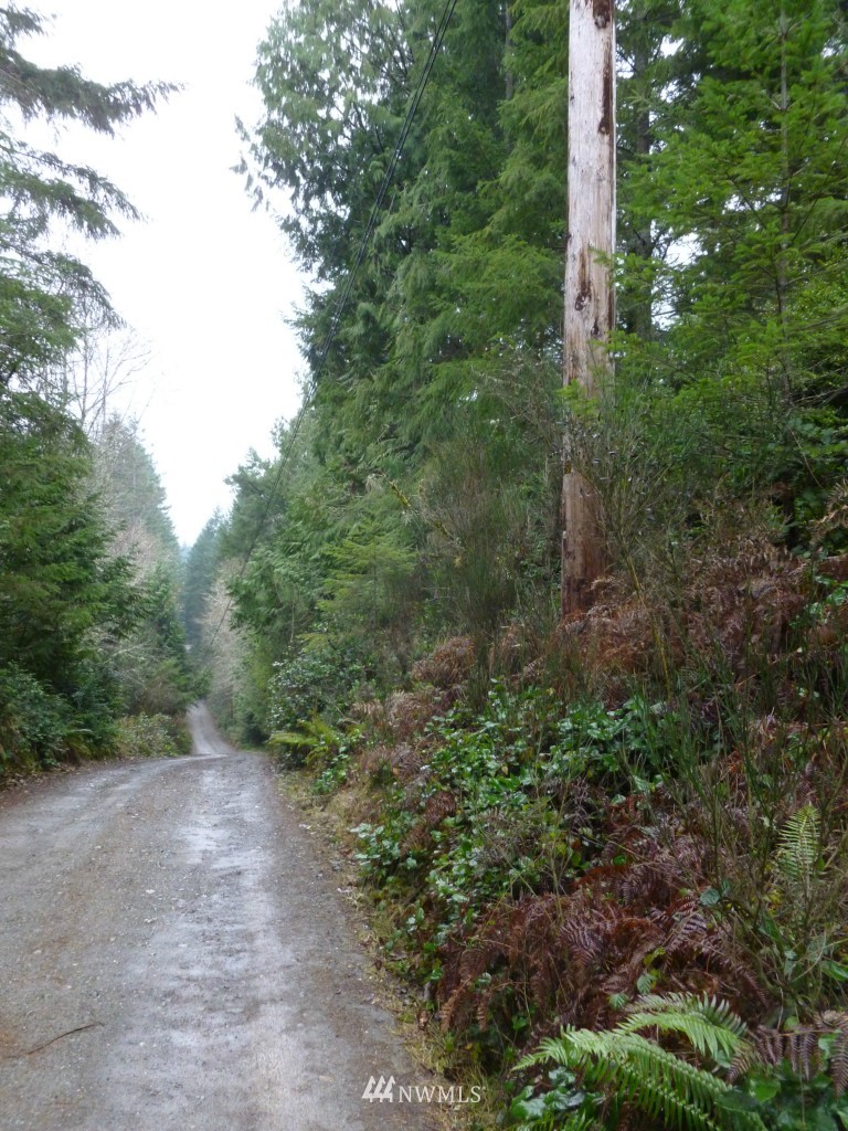 0 Sidney Road Southwest Port Orchard, WA 98367 - Photo 1 of 7 Gallery Image 1
