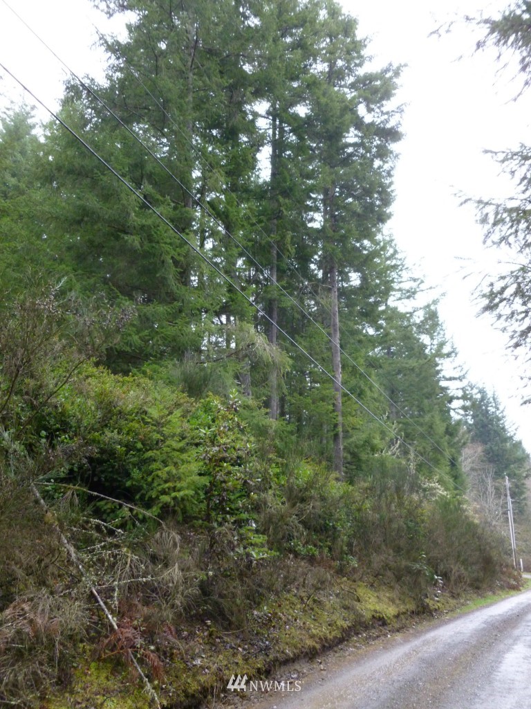 0 Sidney Road Southwest Port Orchard, WA 98367 - Photo 2 of 7 Gallery Image 2