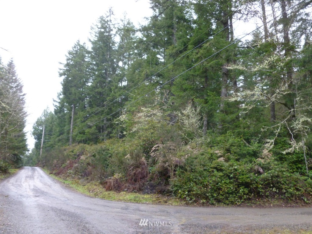 0 Sidney Road Southwest Port Orchard, WA 98367 - Photo 3 of 7 Gallery Image 3