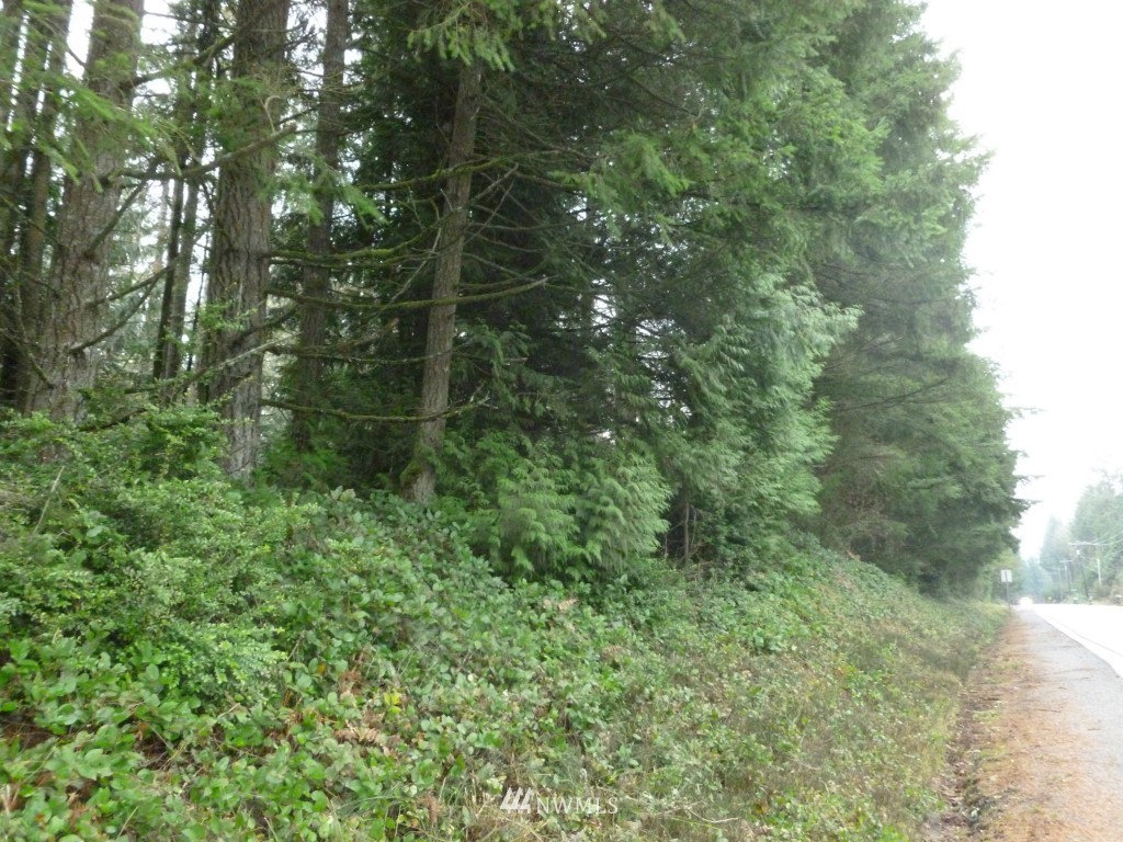 0 Sidney Road Southwest Port Orchard, WA 98367 - Photo 7 of 7 Gallery Image 7