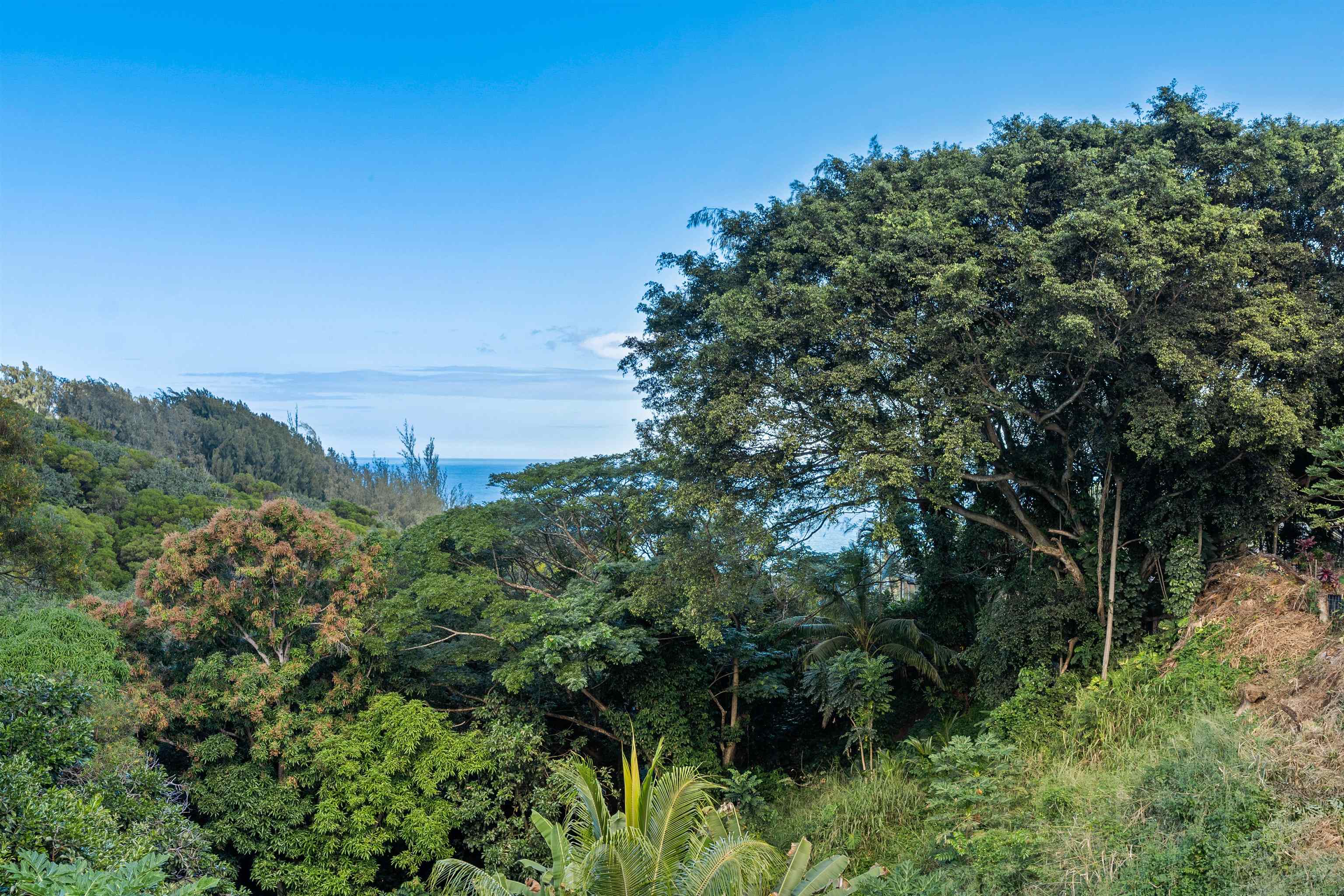 655 Kulike Road, Unit B Haiku, HI 96708 - Photo 6 of 38 a view of a garden
