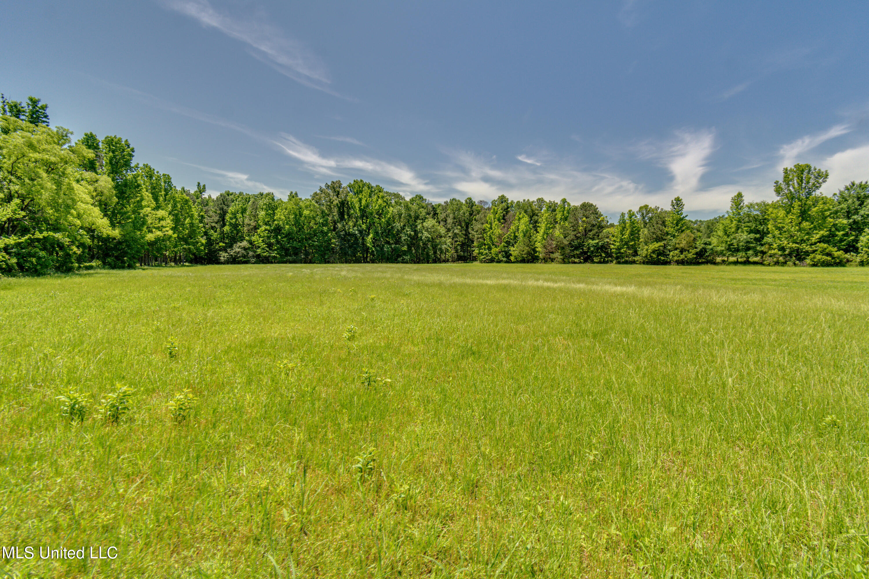 Stout Road Madison, MS 39110 - Photo 3 of 14 DSC_3344 - Stout Road lot