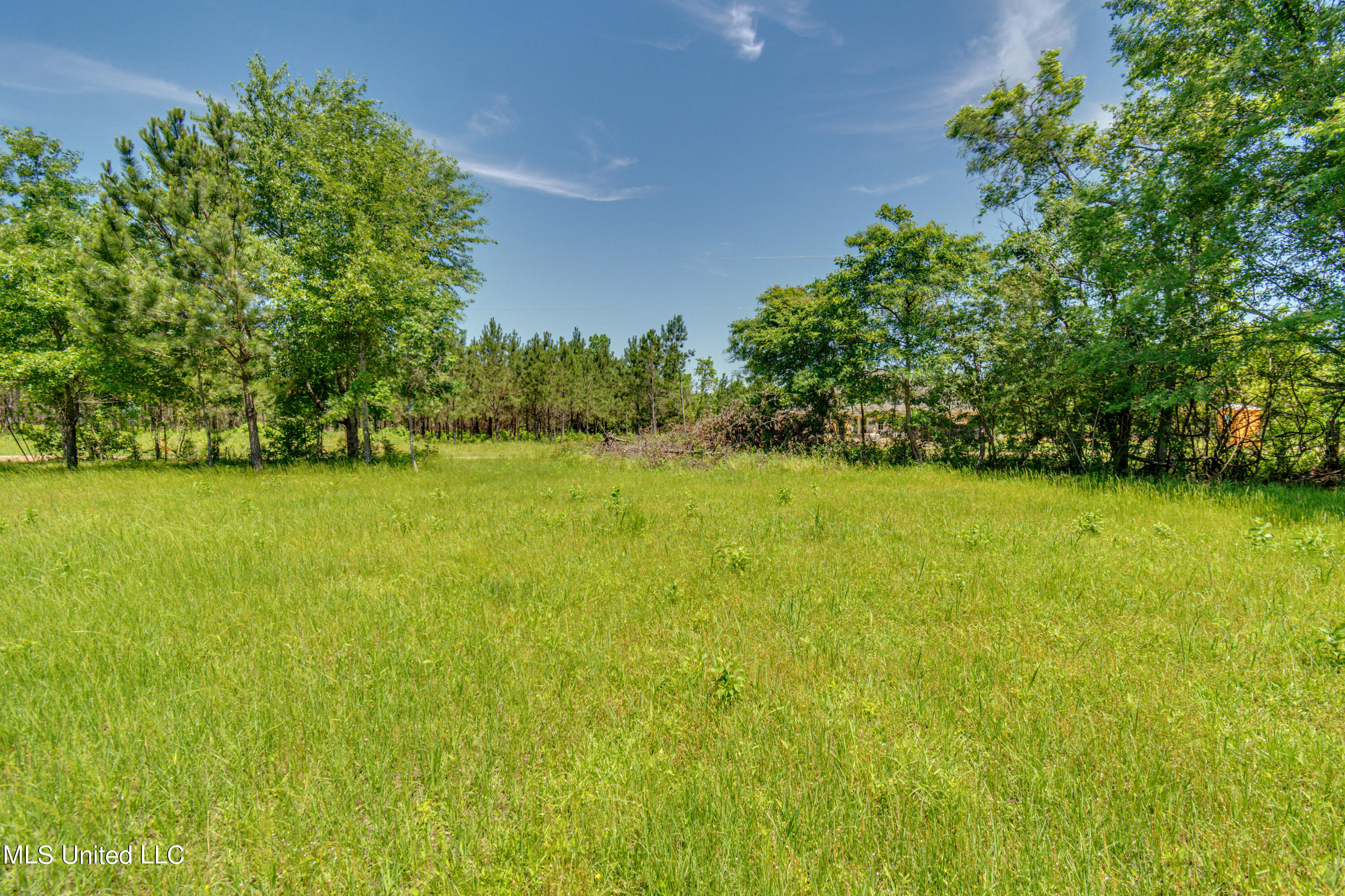 Stout Road Madison, MS 39110 - Photo 4 of 14 DSC_3347 - Stout Road lot