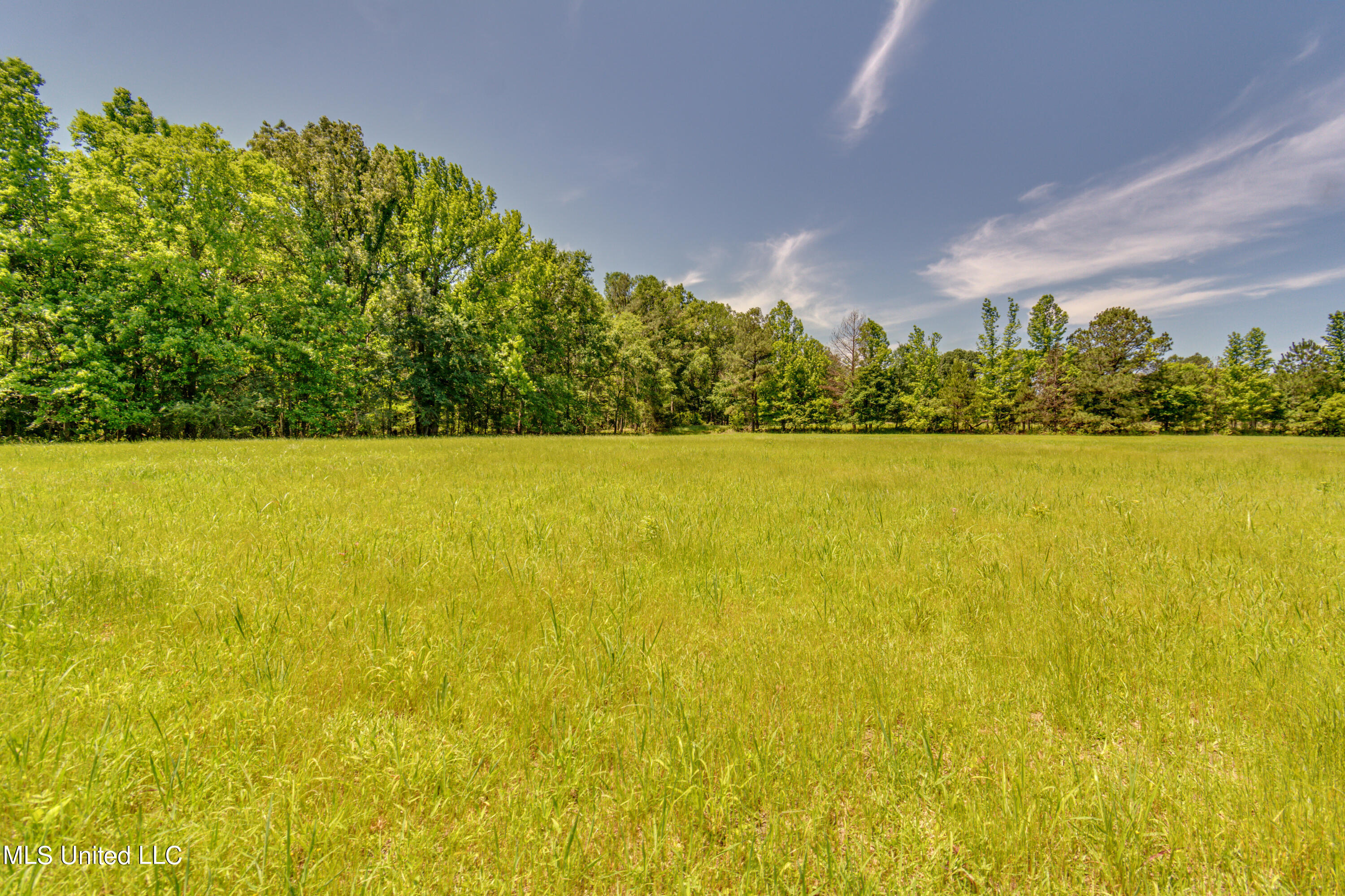 Stout Road Madison, MS 39110 - Photo 6 of 14 DSC_3356 - Stout Road lot