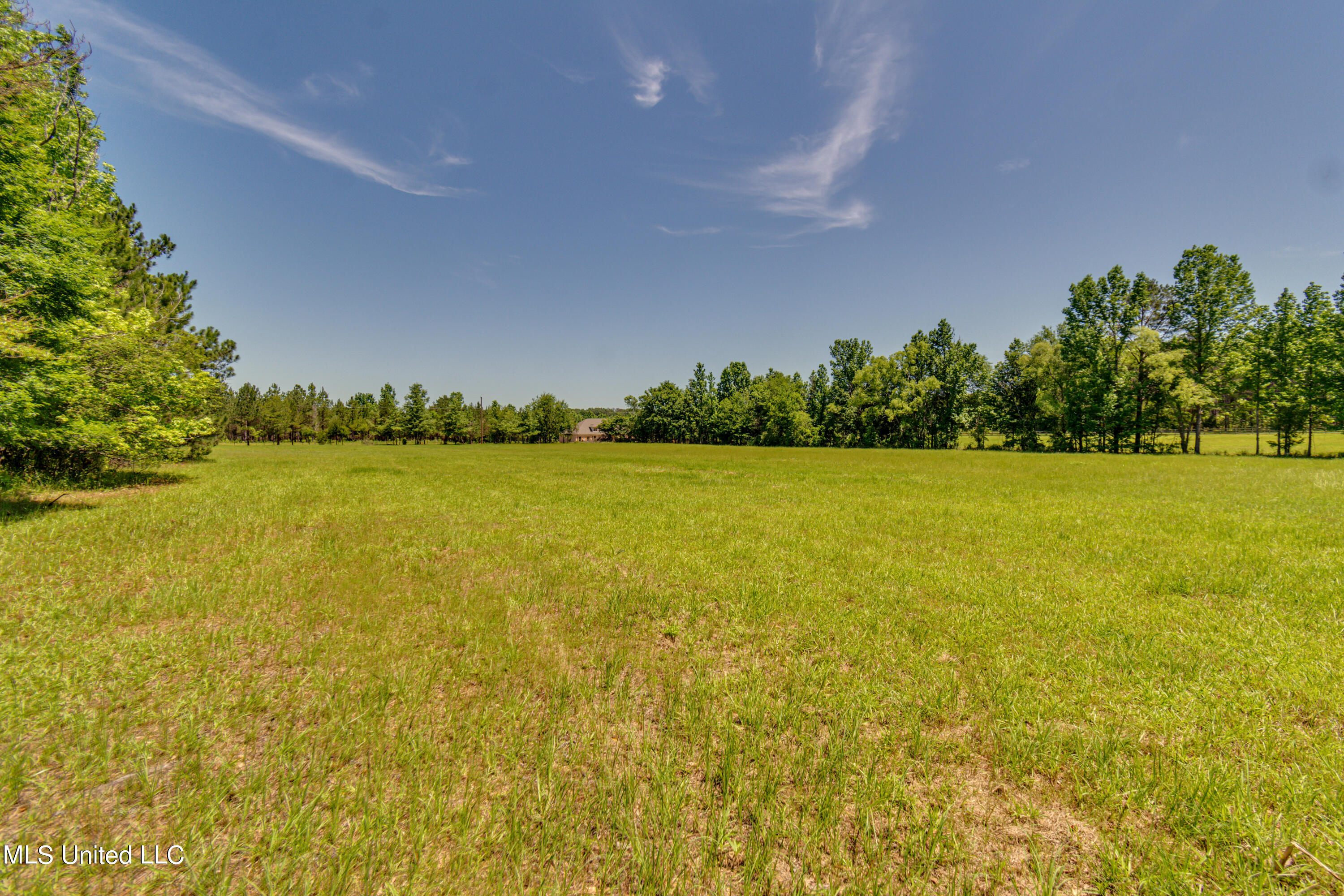 Stout Road Madison, MS 39110 - Photo 8 of 14 DSC_3365 - Stout Road lot