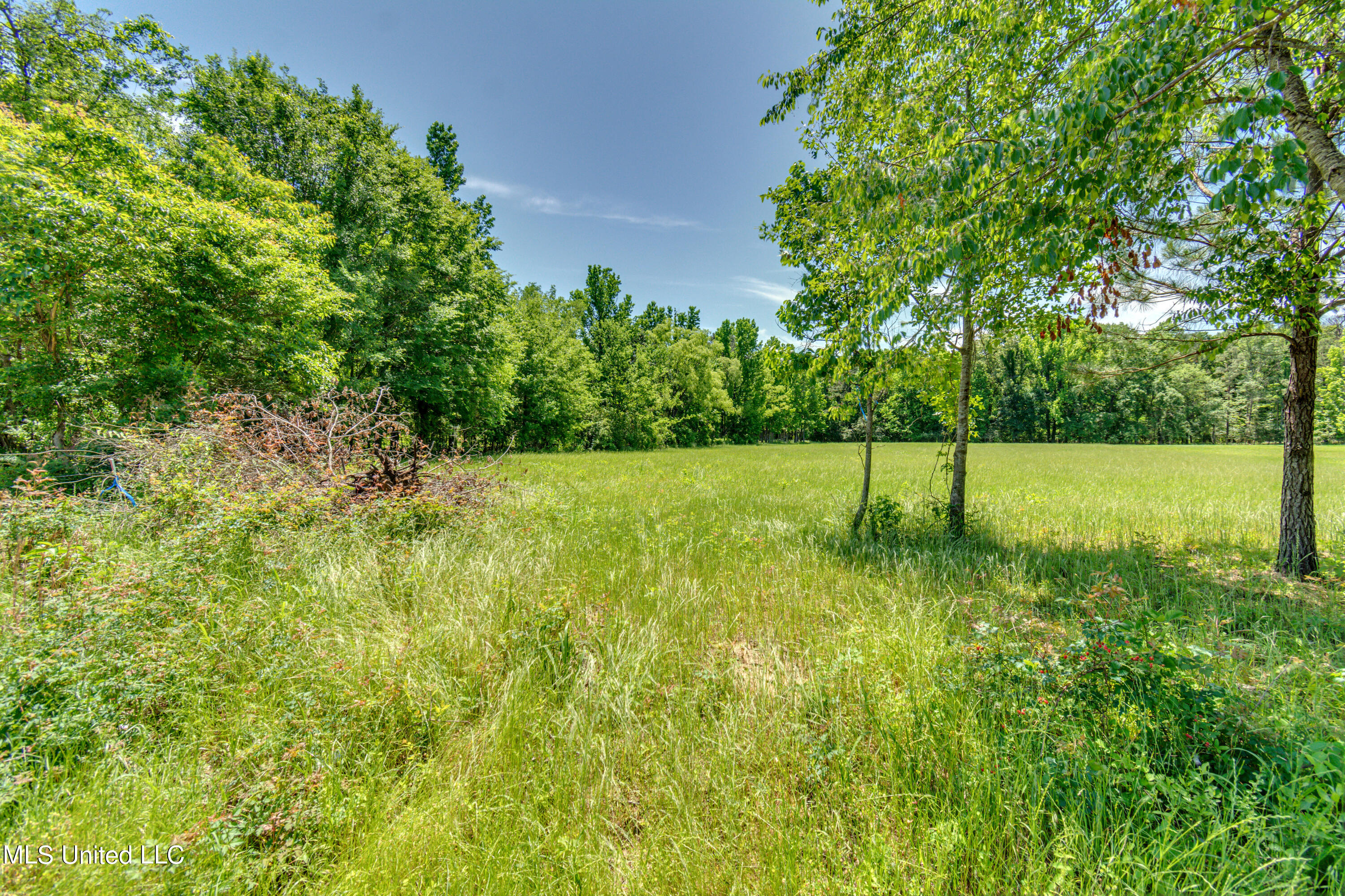 Stout Road Madison, MS 39110 - Photo 10 of 14 DSC_3383 - Stout Road lot