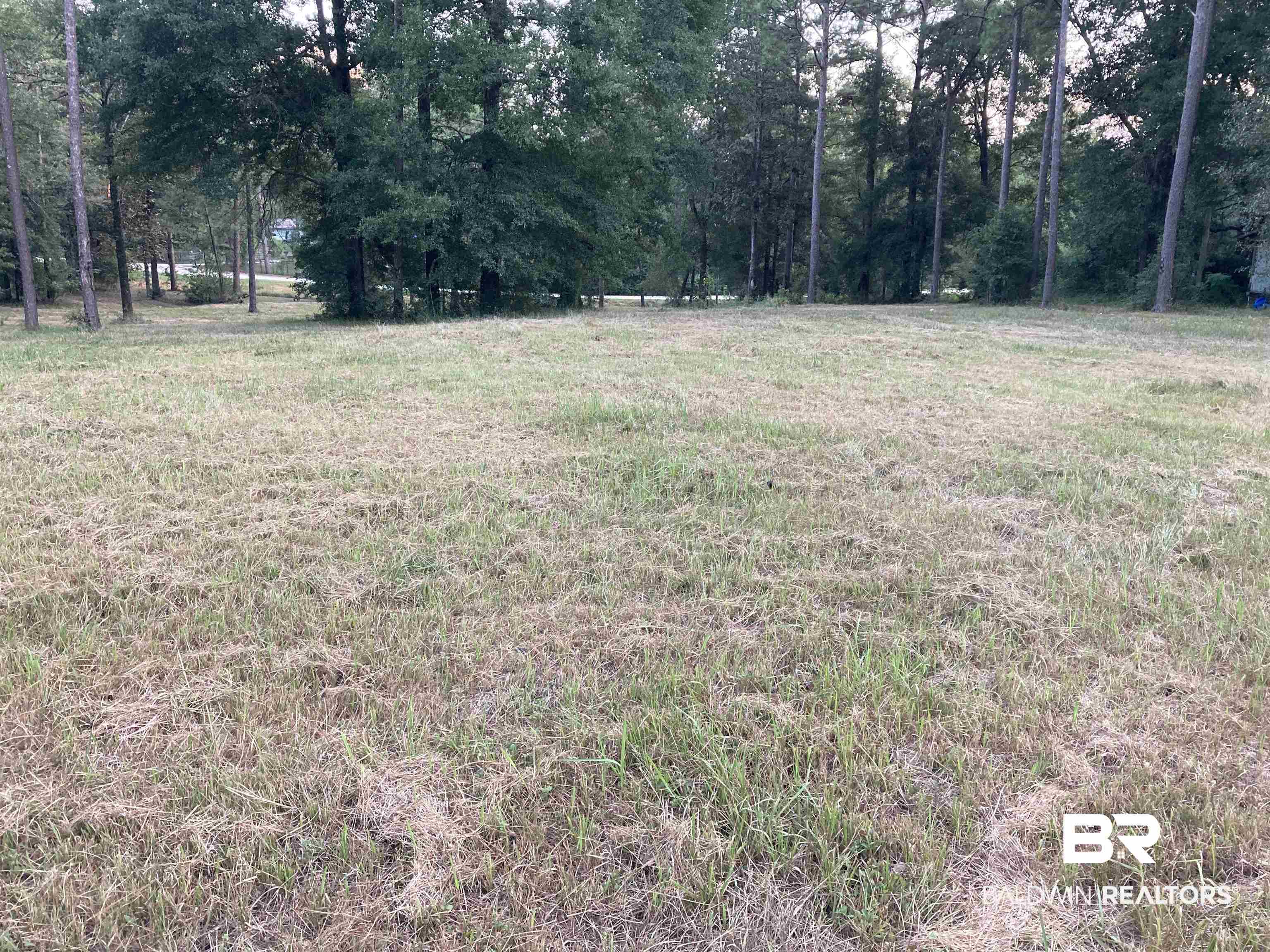 15400 Amazon Drive Wilmer, AL 36587 - Photo 3 of 6