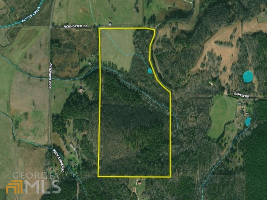 76acres On McWhorter Road, Menlo, GA 30731 Compass