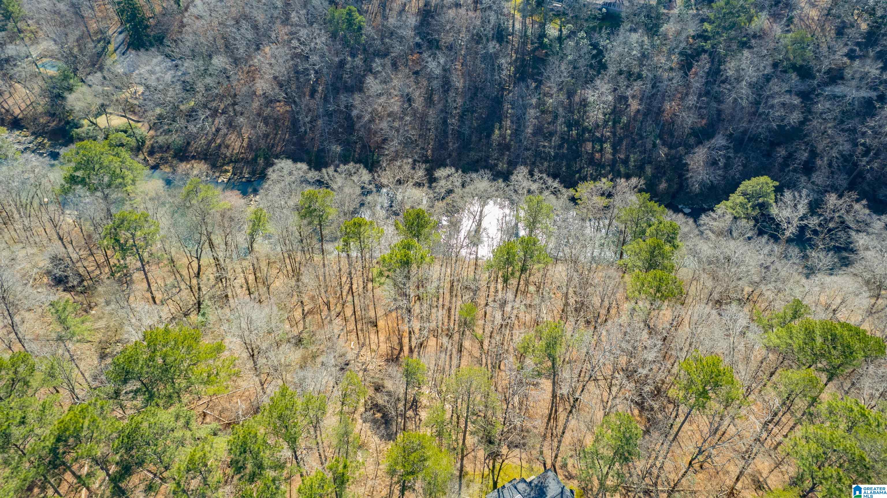 4116 River View Cove Birmingham, AL 35243 - Photo 7 of 43