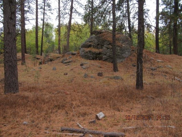 11317 South Andrus Road Cheney, WA 99004 - Photo 1 of 22