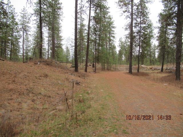 11317 South Andrus Road Cheney, WA 99004 - Photo 2 of 22