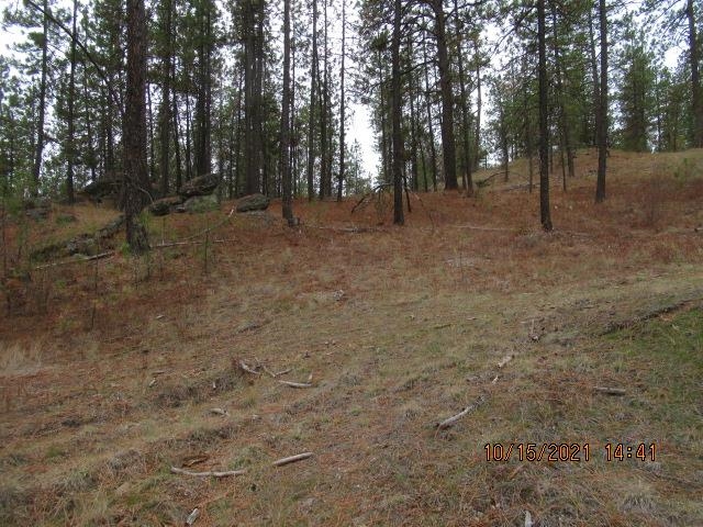 11317 South Andrus Road Cheney, WA 99004 - Photo 11 of 22