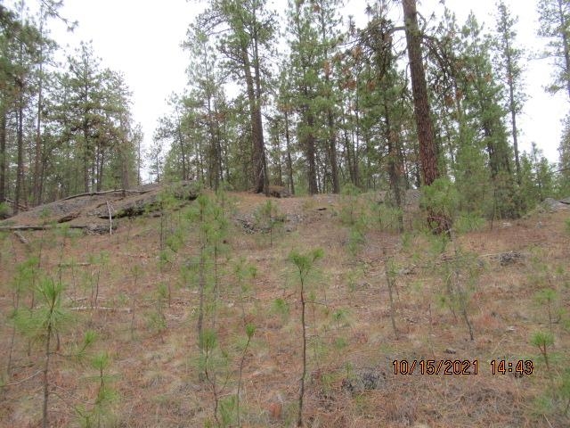 11317 South Andrus Road Cheney, WA 99004 - Photo 12 of 22