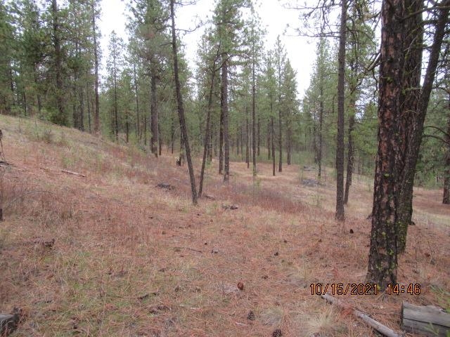 11317 South Andrus Road Cheney, WA 99004 - Photo 13 of 22