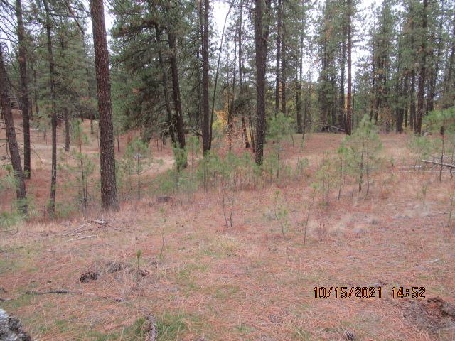 11317 South Andrus Road Cheney, WA 99004 - Photo 15 of 22