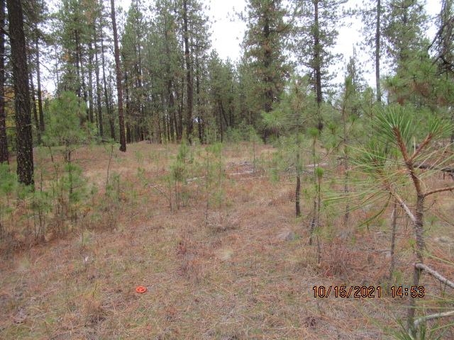 11317 South Andrus Road Cheney, WA 99004 - Photo 16 of 22