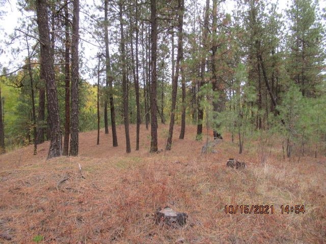 11317 South Andrus Road Cheney, WA 99004 - Photo 17 of 22