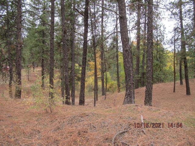 11317 South Andrus Road Cheney, WA 99004 - Photo 18 of 22