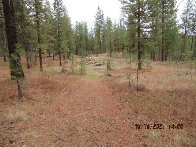 11317 South Andrus Road Cheney, WA 99004 - Photo 19 of 22