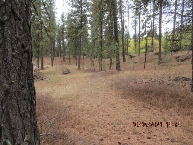 11317 South Andrus Road Cheney, WA 99004 - Photo 3 of 22