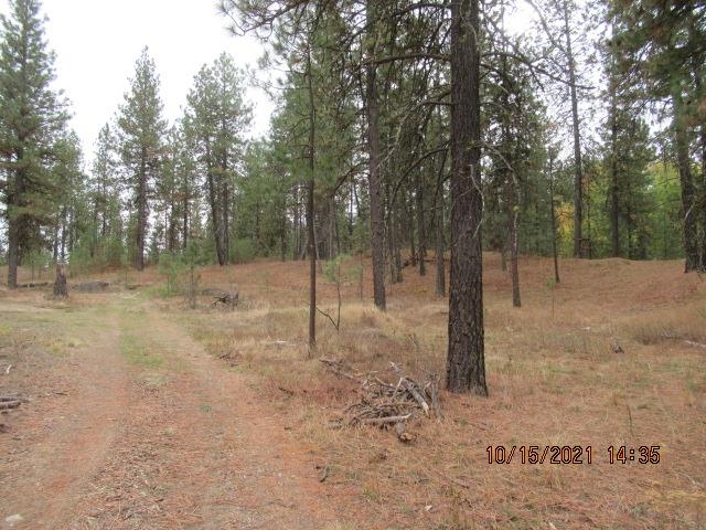 11317 South Andrus Road Cheney, WA 99004 - Photo 4 of 22
