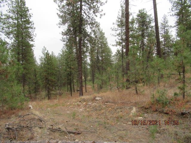 11317 South Andrus Road Cheney, WA 99004 - Photo 5 of 22