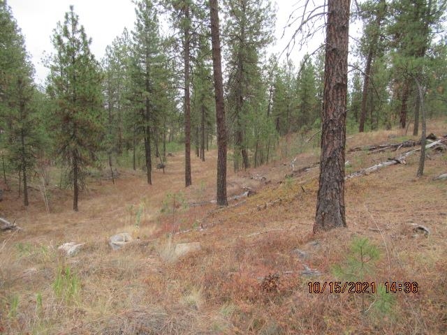 11317 South Andrus Road Cheney, WA 99004 - Photo 6 of 22