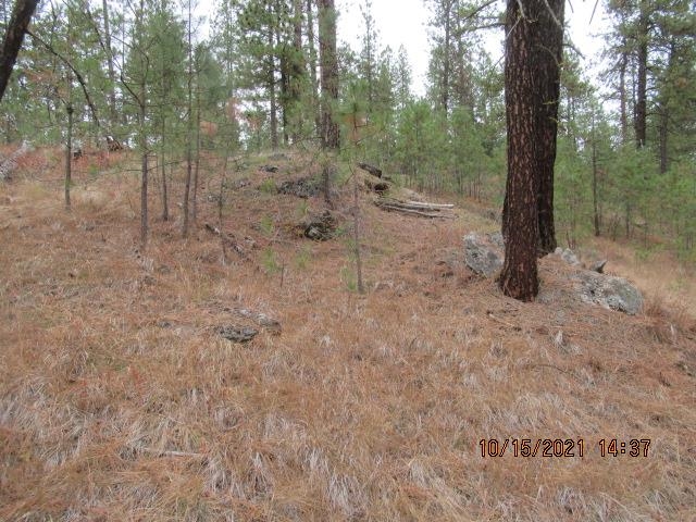 11317 South Andrus Road Cheney, WA 99004 - Photo 7 of 22