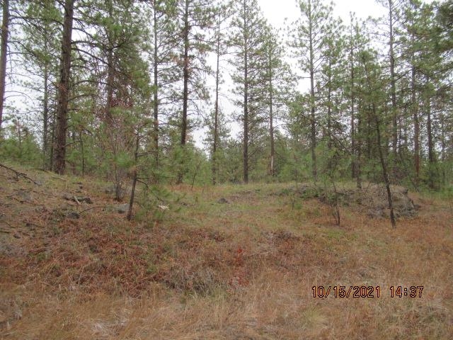 11317 South Andrus Road Cheney, WA 99004 - Photo 8 of 22