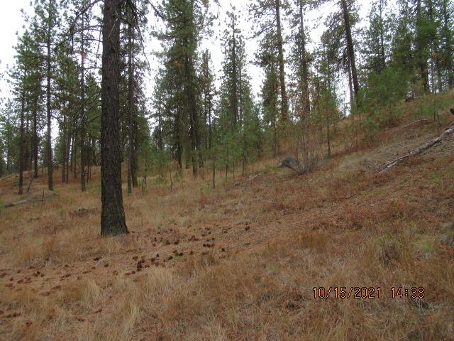 11317 South Andrus Road Cheney, WA 99004 - Photo 9 of 22