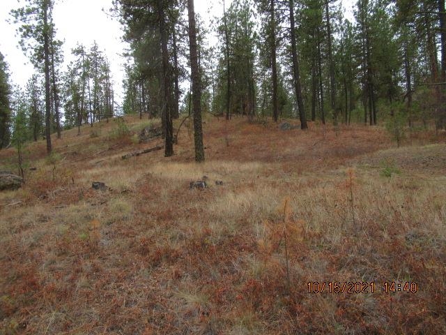 11317 South Andrus Road Cheney, WA 99004 - Photo 10 of 22