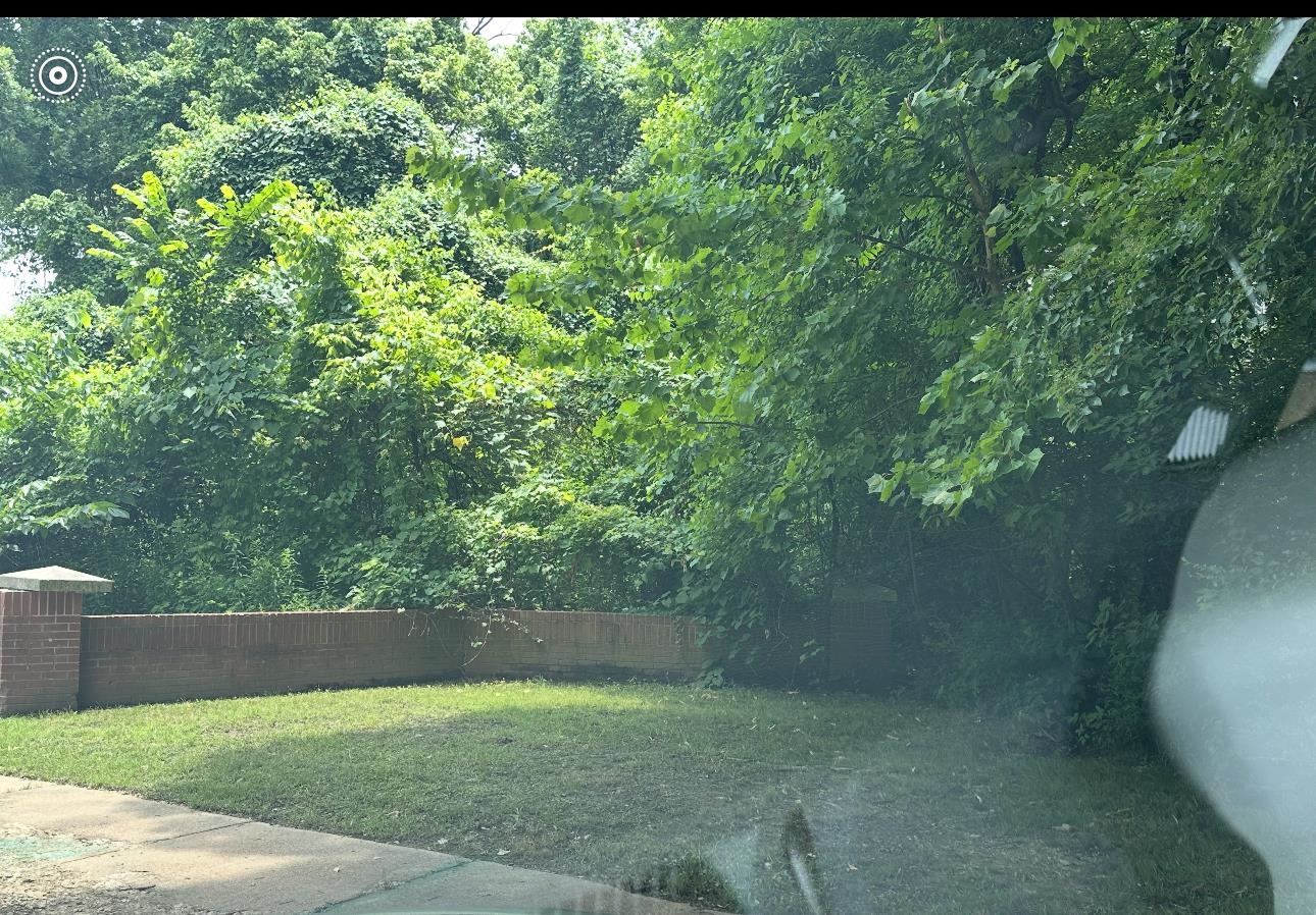 129 West Brooks Road Memphis, TN 38109 - Photo 2 of 4 View of yard