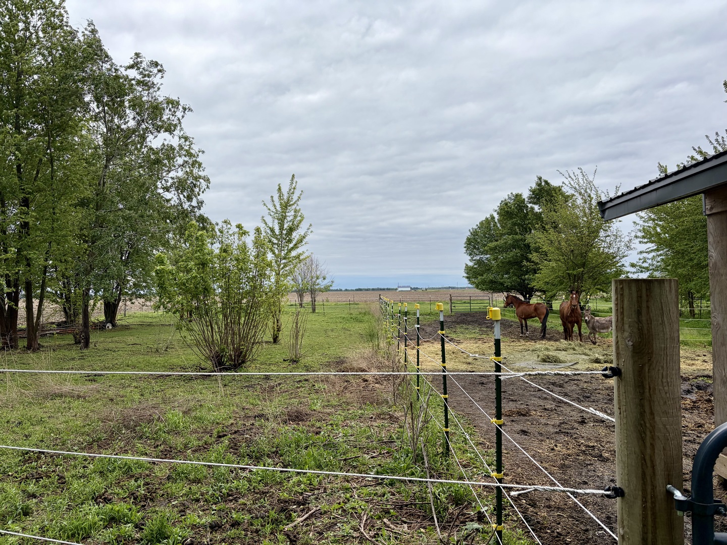 14681 Toad Hill Road Wapella, IL 61777 - Photo 25 of 29