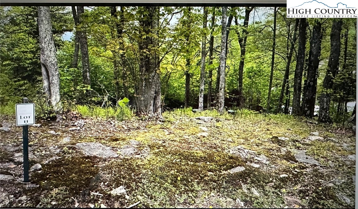 Lot 11-12 Sunset Ridge Drive Boone, NC 28607 - Photo 10 of 28