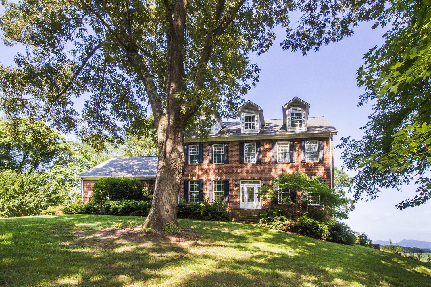 705 Beard Road Strawberry Plains, TN 37871 - Photo 3 of 40 IMG_0003