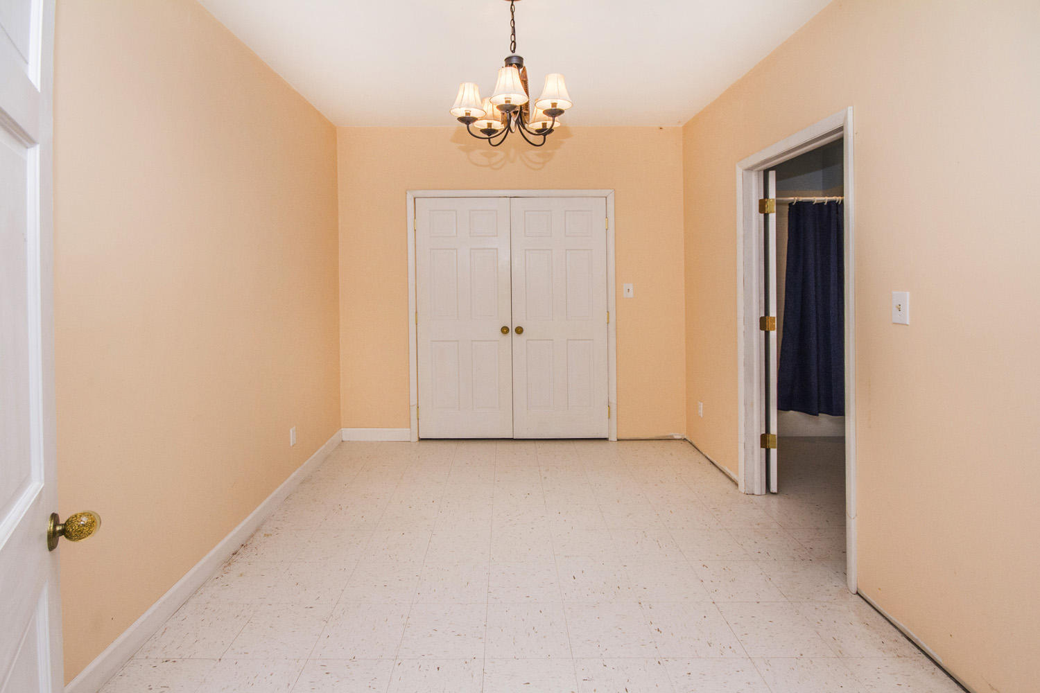 705 Beard Road Strawberry Plains, TN 37871 - Photo 30 of 40 IMG_0069