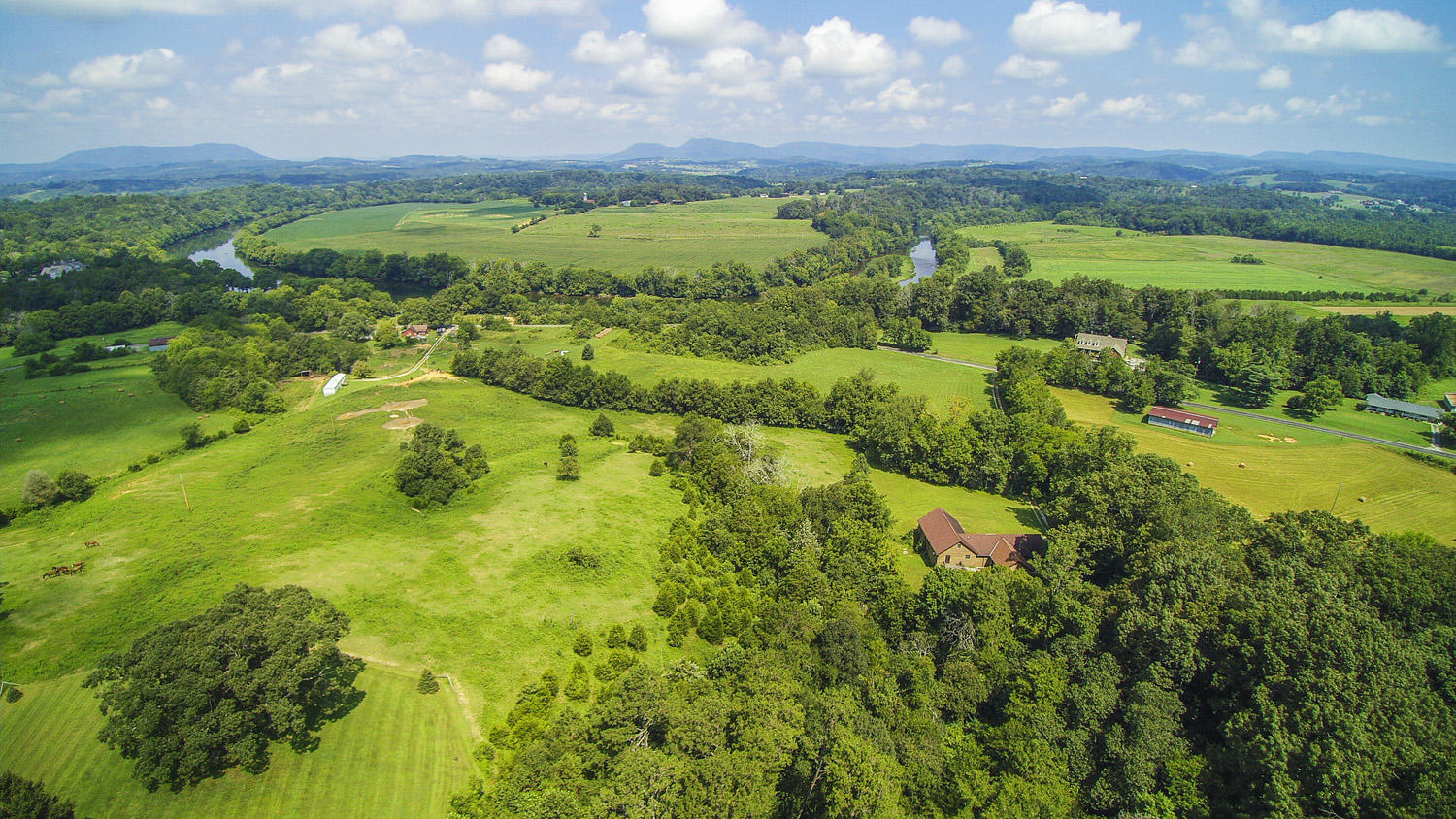 705 Beard Road Strawberry Plains, TN 37871 - Photo 37 of 40 YUN00050