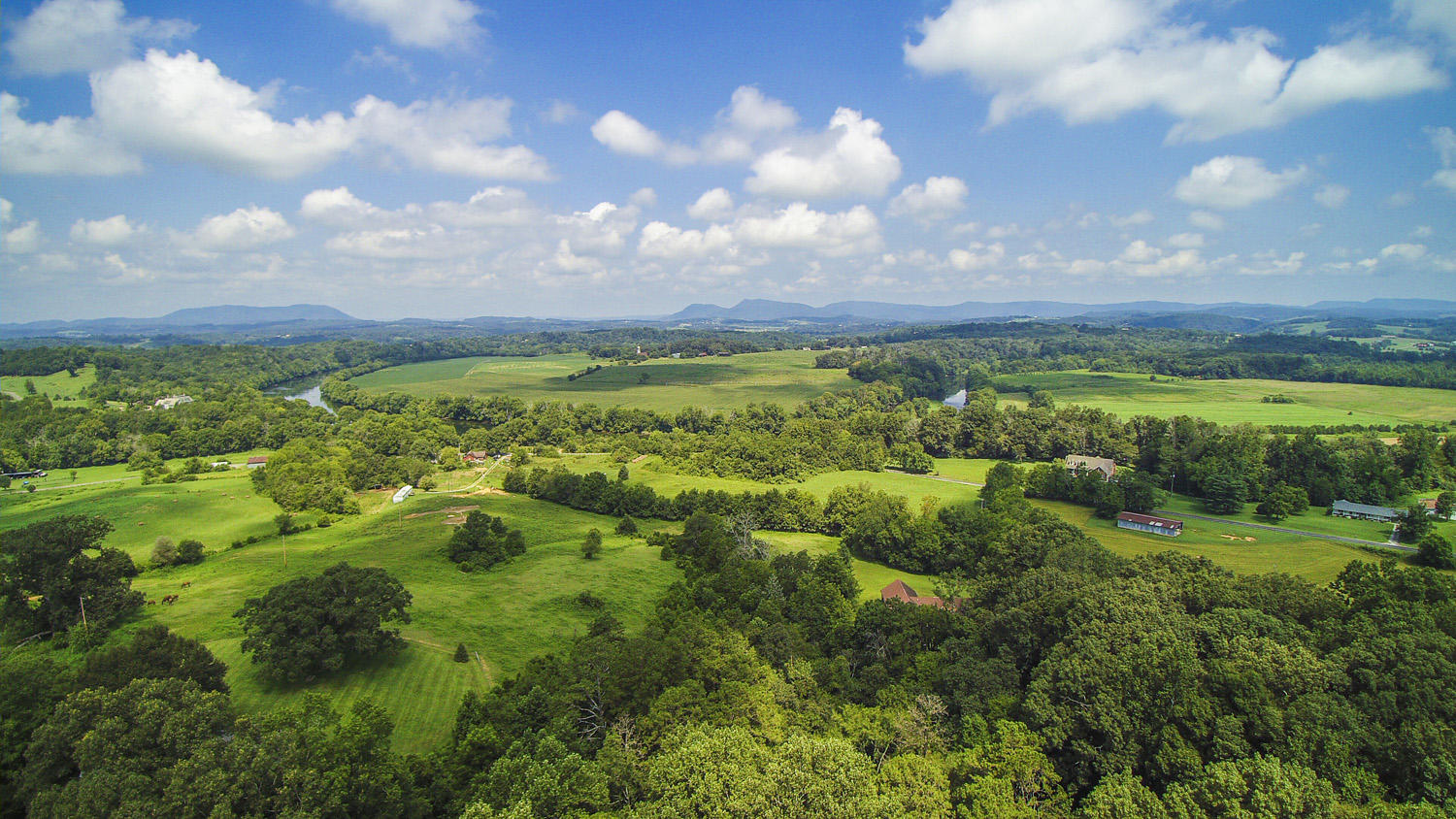 705 Beard Road Strawberry Plains, TN 37871 - Photo 38 of 40 YUN00052