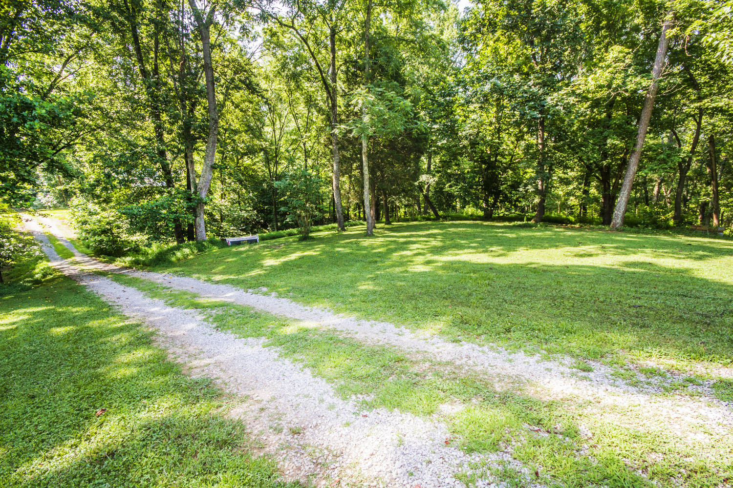 705 Beard Road Strawberry Plains, TN 37871 - Photo 5 of 40 IMG_0005