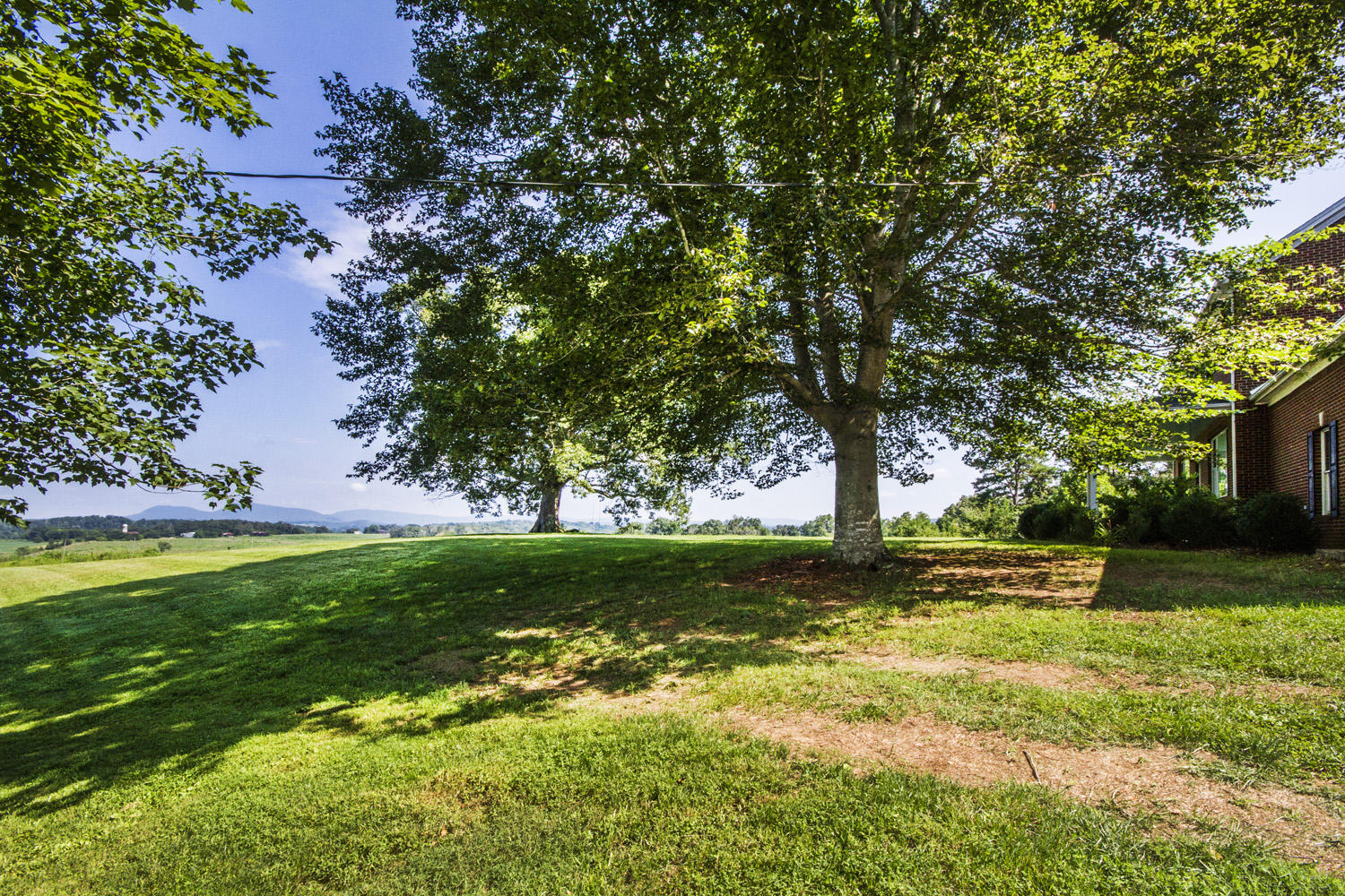 705 Beard Road Strawberry Plains, TN 37871 - Photo 6 of 40 IMG_0009