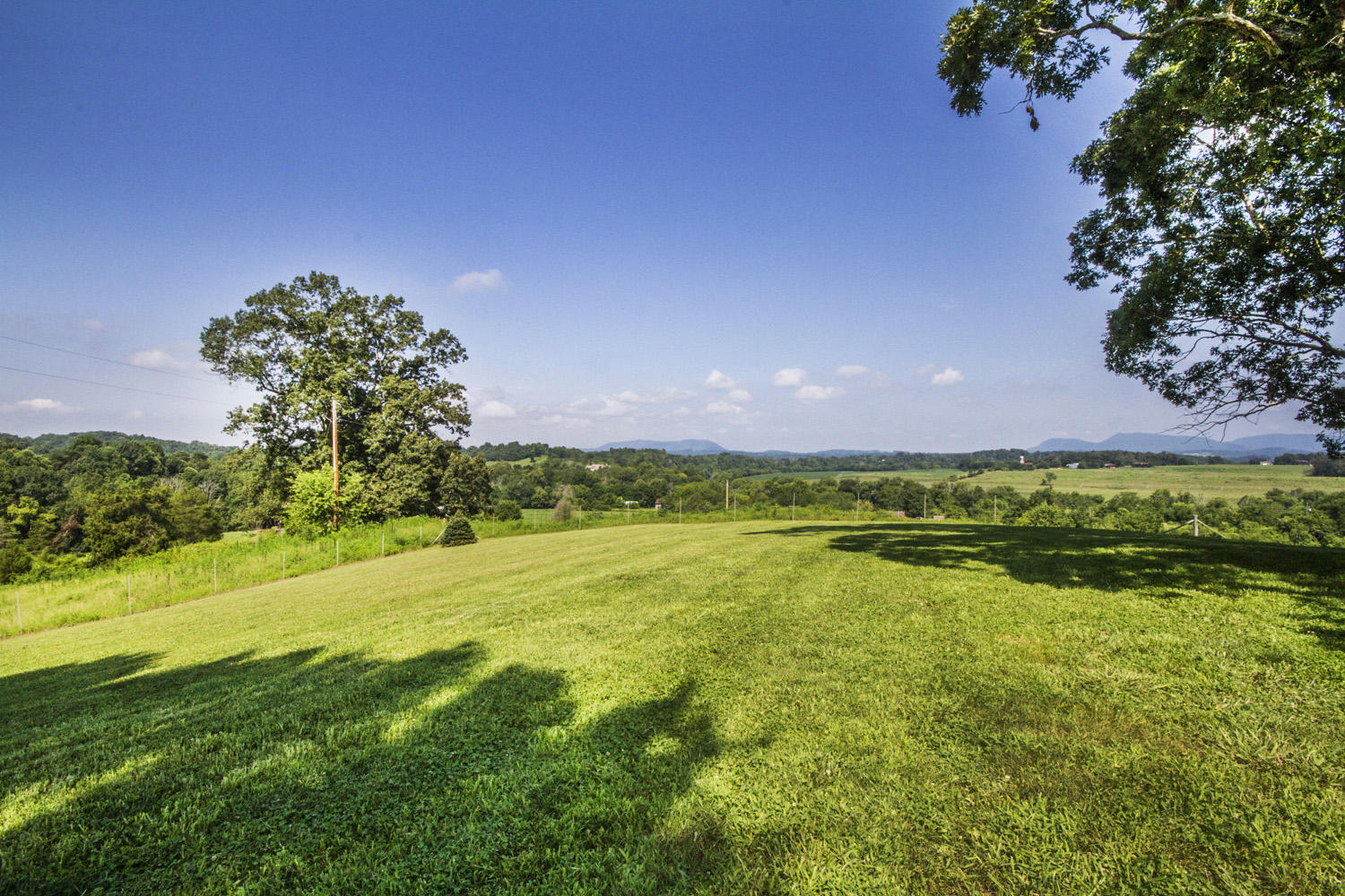 705 Beard Road Strawberry Plains, TN 37871 - Photo 7 of 40 IMG_0011