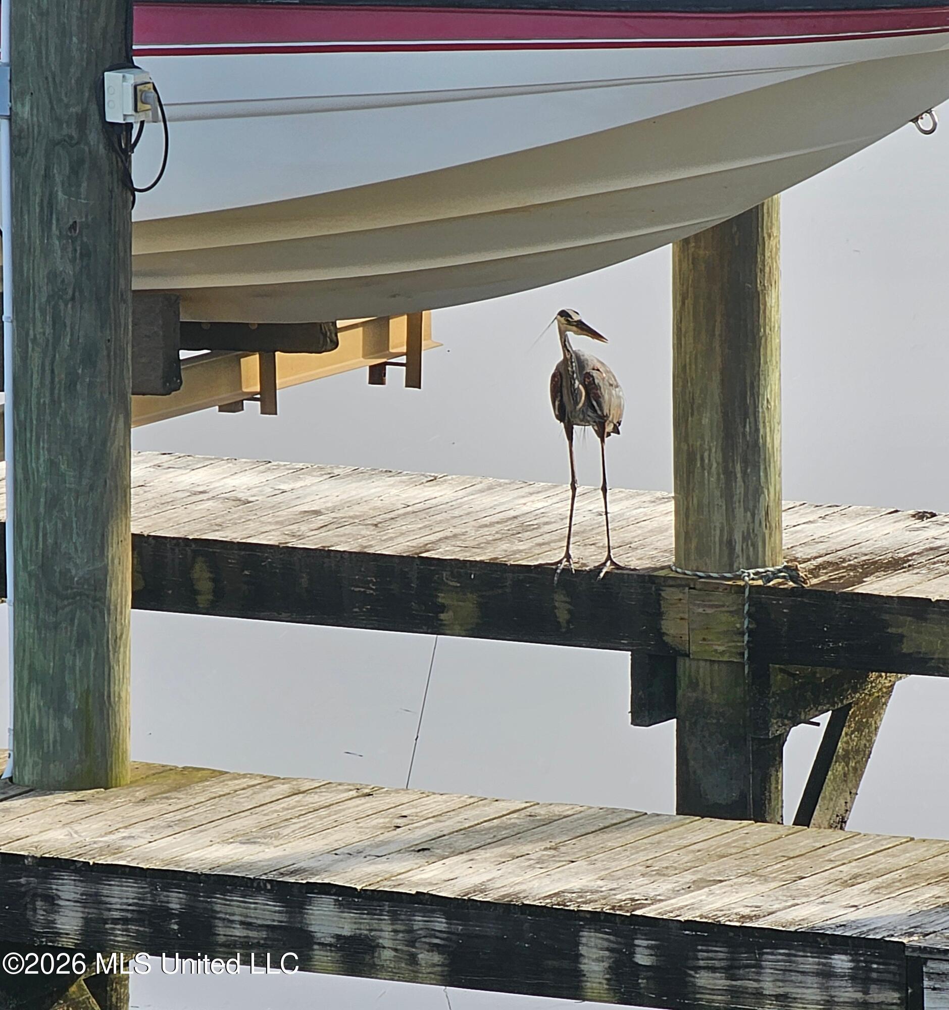 6277 Pontiac Drive Kiln, MS 39556 - Photo 62 of 70 20250508_181412~2