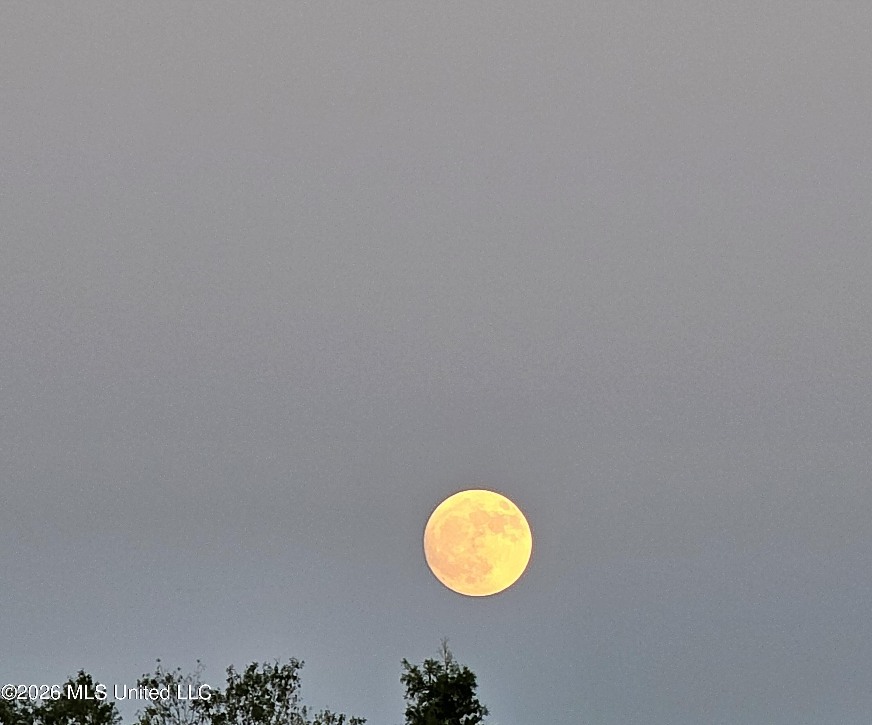 6277 Pontiac Drive Kiln, MS 39556 - Photo 63 of 70 Moon pic 2