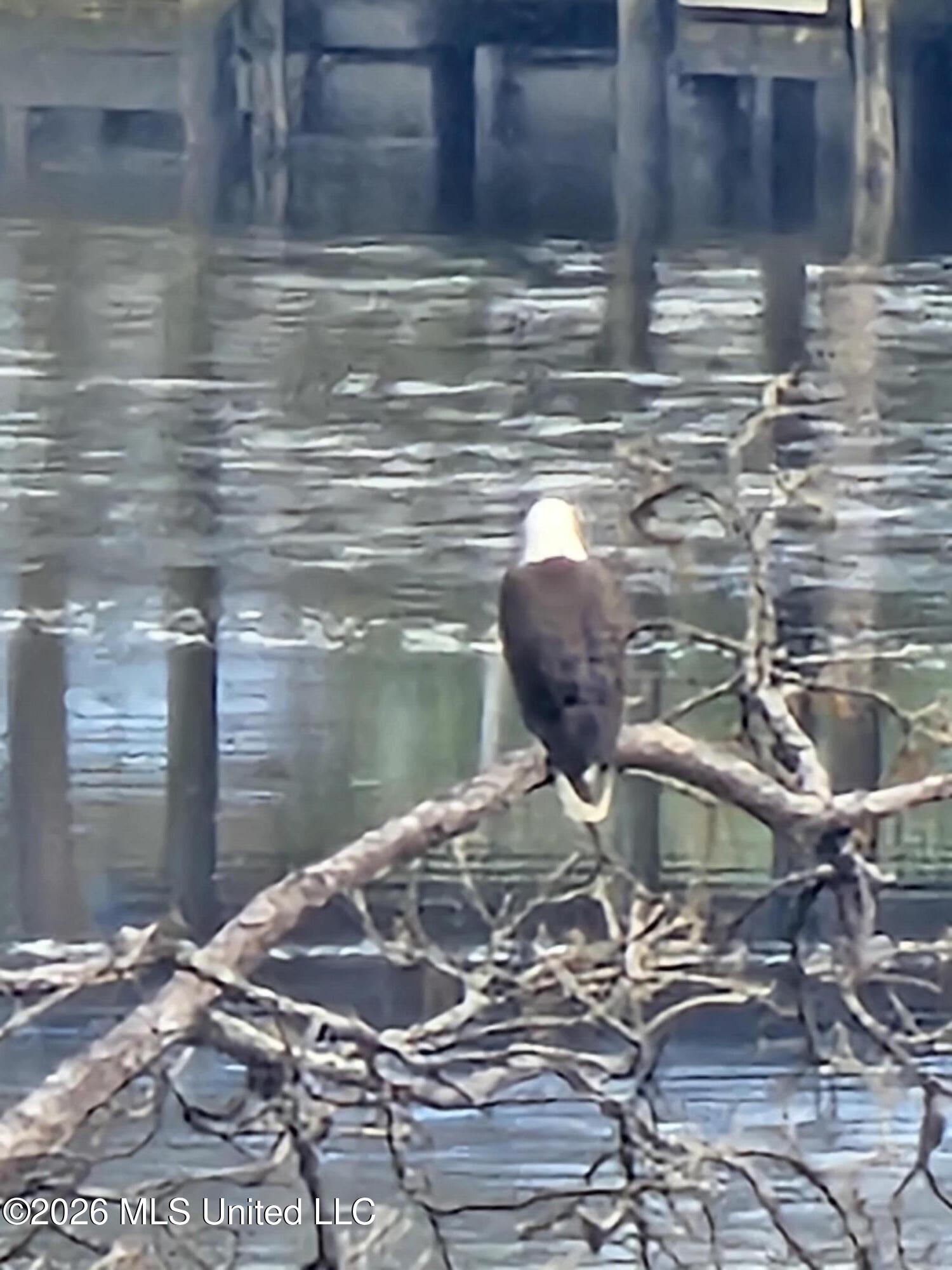6277 Pontiac Drive Kiln, MS 39556 - Photo 64 of 70 20241226_120651