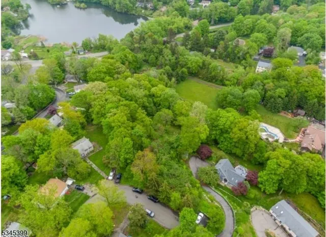 a view of a yard with a trees