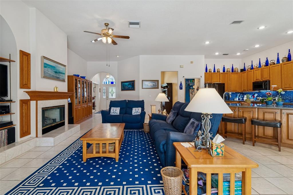 928 Oakview Road Tarpon Springs, FL 34689 - Photo 23 of 75 a living room with furniture a fireplace and a flat screen tv